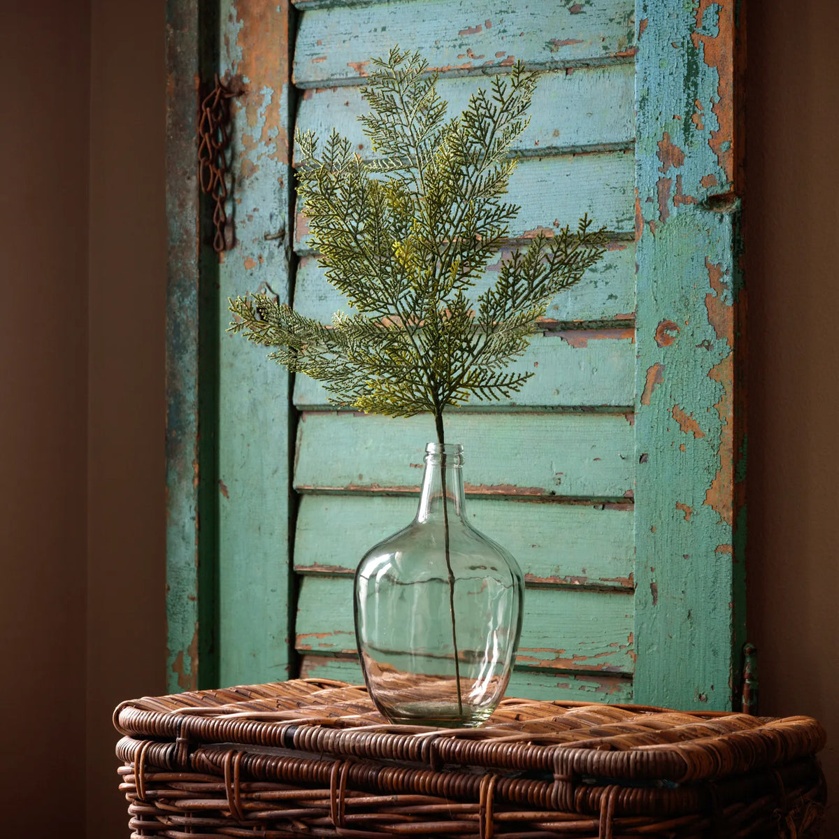 Flat Cedar Stem