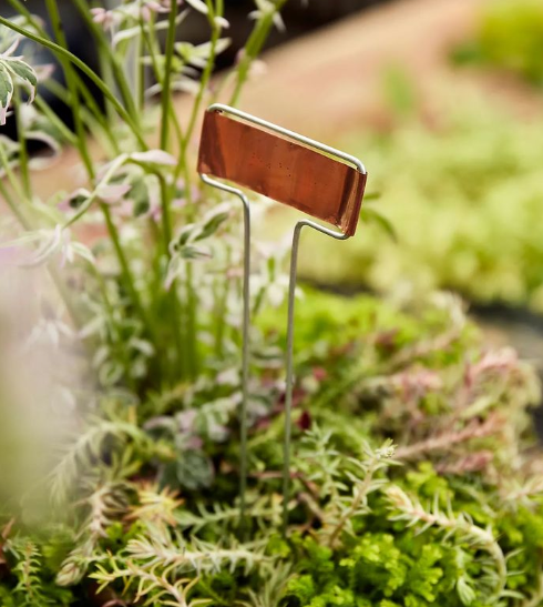 Set of 6 Copper Plant Labels