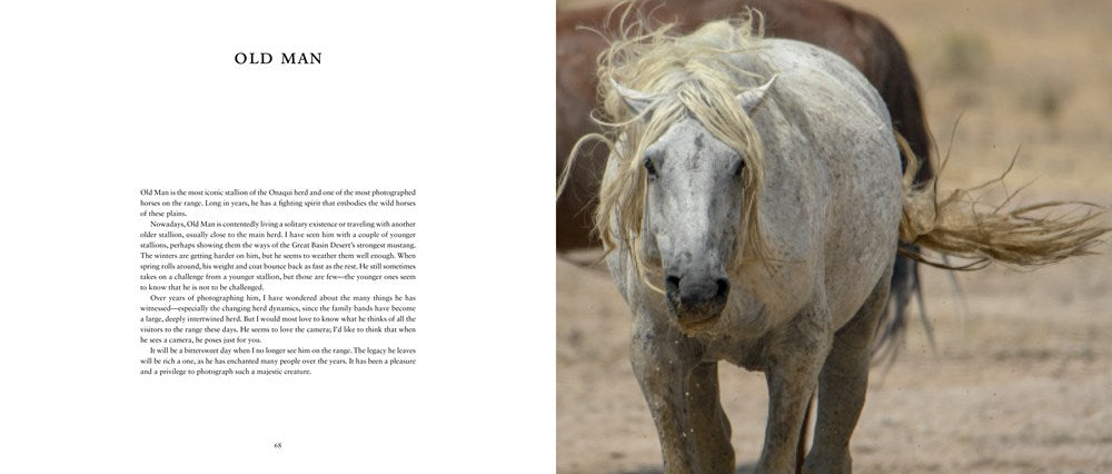 Wild Horses of the West : Photography Coffee Table Book