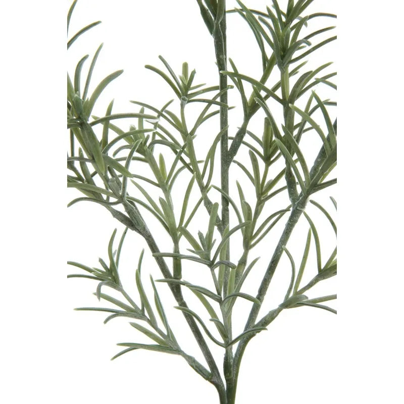 Rosemary Stem