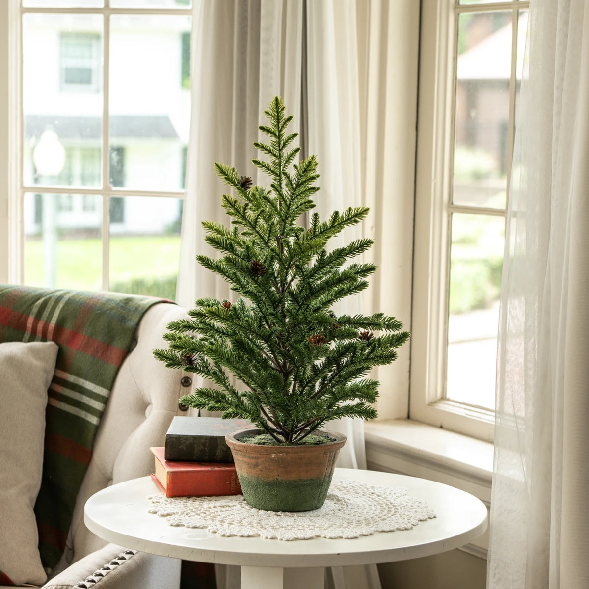 Percy Pine Tree In a Pot