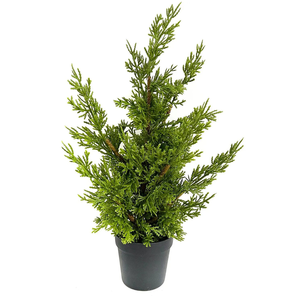 Natural Touch Potted Evergreen Tree 18"