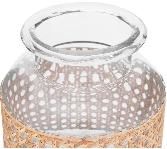 Glass Vase w/ Decorative Cane Sleeve