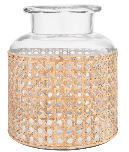 Glass Vase w/ Decorative Cane Sleeve