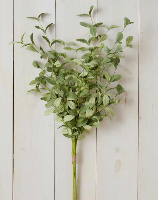 Sage Bundle