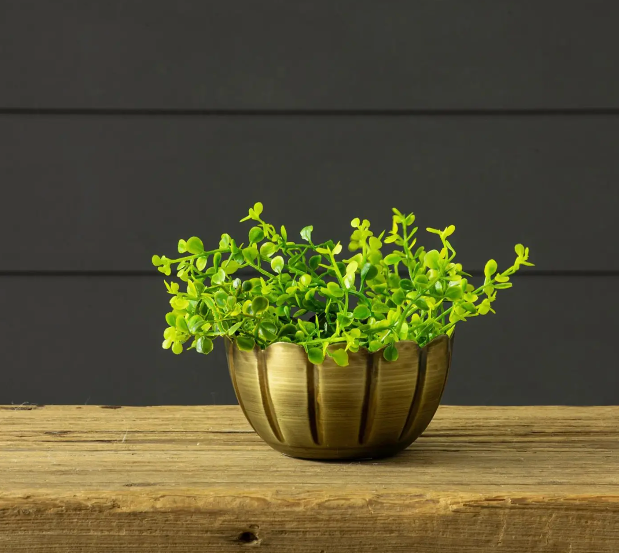 Scalloped Brass Mini Bowl