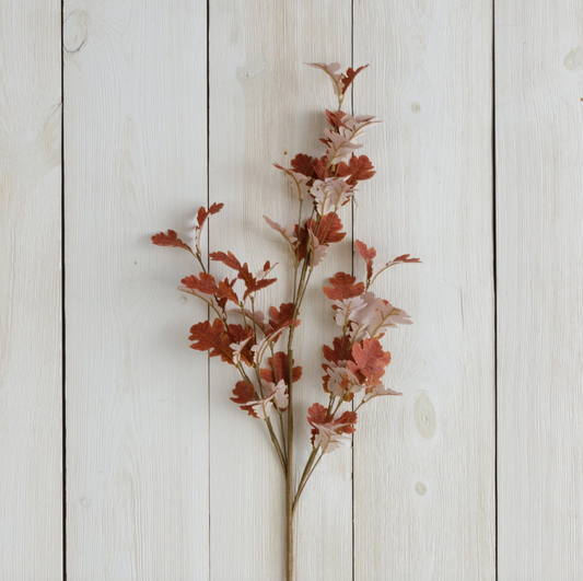 Branch - Brown Oak Leaves