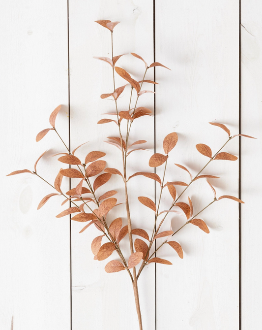 Branch- Cocoa Fall Foliage