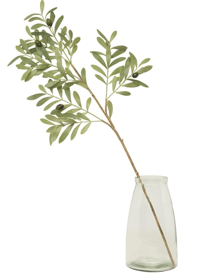 Olive Leaf Stem